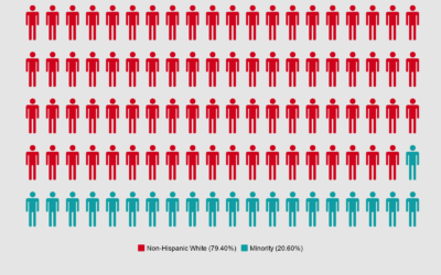 By the Numbers: Representation in Clerkships