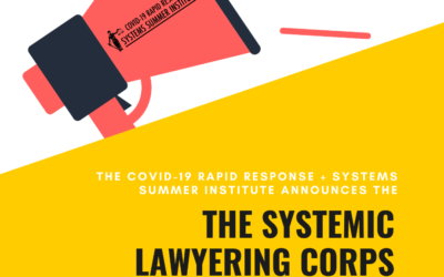 Apply for the Systemic Lawyering Corps