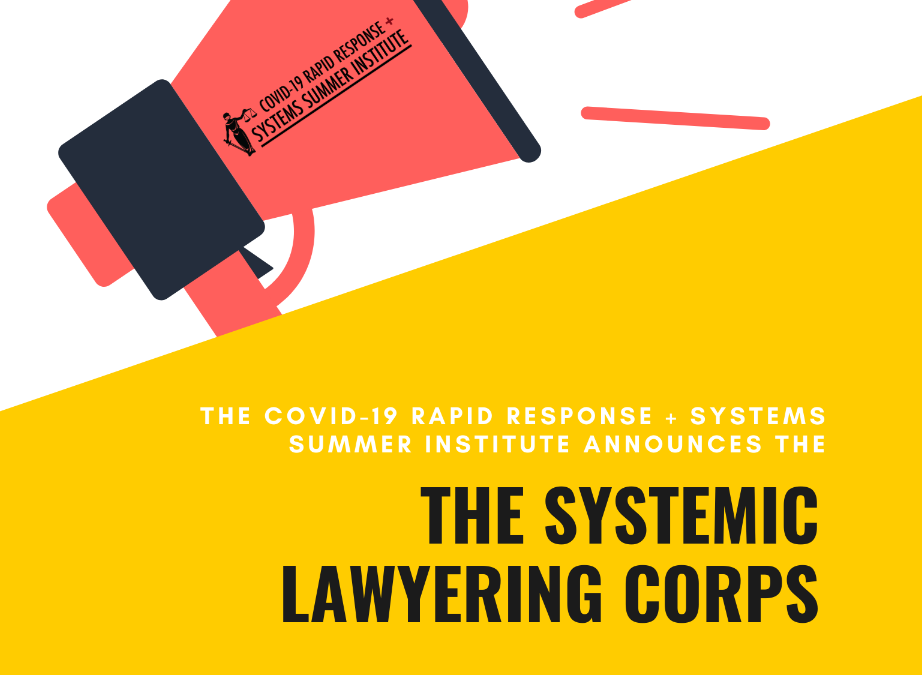 Apply for the Systemic Lawyering Corps