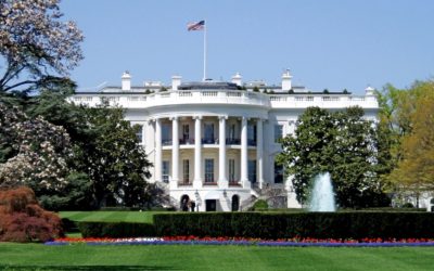 Join PPP’s Executive Branch Working Group