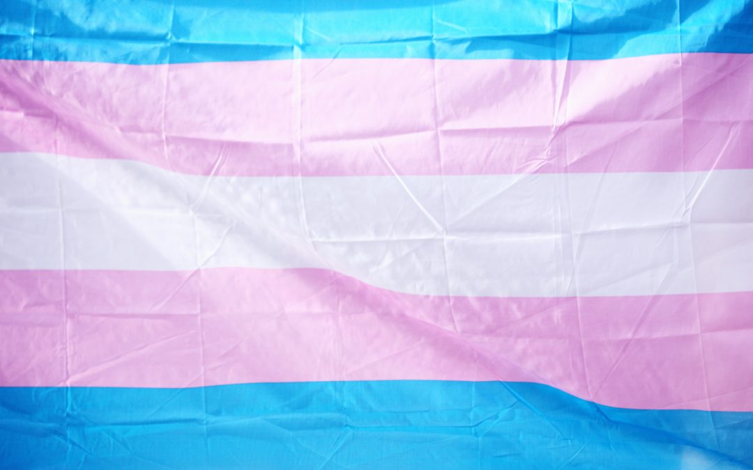 Honoring Our Trans and Non-Binary Communities, Today and Every Day